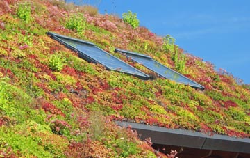 Caergeiliog living roof systems